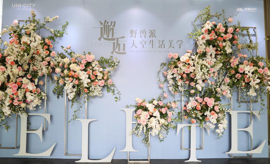 《万科·天空之城！万人打卡，155ELITE展示间开放》