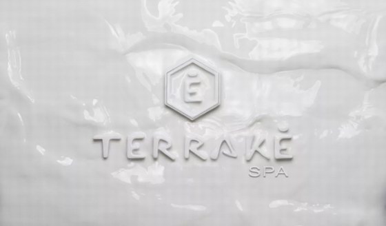 社交电商与直播 Terraké SPA法国天莱为行业注入“源动力”