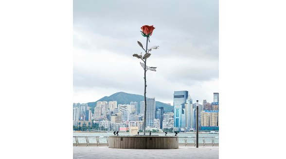  8.5米巨型玫瑰再筑“品位高地”，尖沙咀优购文化地标K11 MUSEA诠释浪漫基因