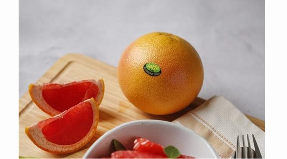 高品质的柑橘类水果代名词：Jaffa