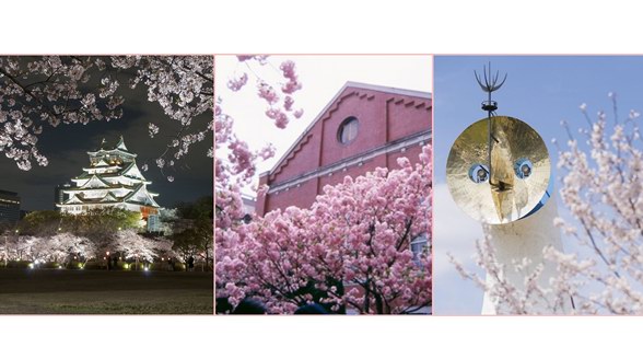  在樱花盛开的季节去日本旅行！去大阪名胜赏樱，去梅田阪急购物！！