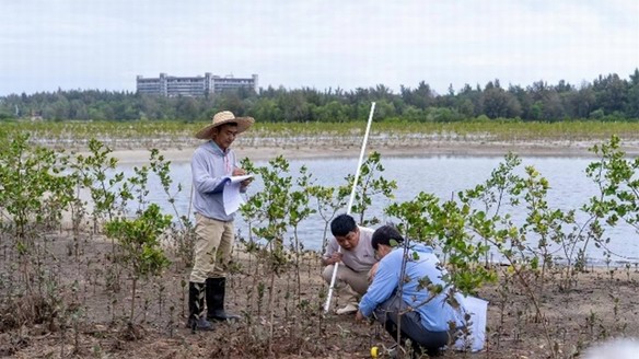 滨海生态再添新绿 各方聚力共护生物多样性 马爹利在琼粤两地同步启动红树林保护项目第三阶段工作