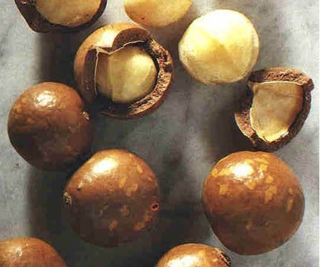 世界上最昂贵的食物盘点之澳洲胡桃(Macadamia)