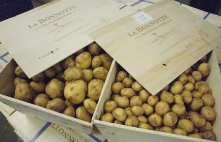 La Bonnotte土豆，世界上最贵的土豆，在法国努瓦尔穆杰岛上种植
