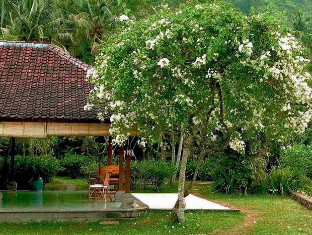 巴厘岛Alila Manggis阿里拉曼吉丝度假村