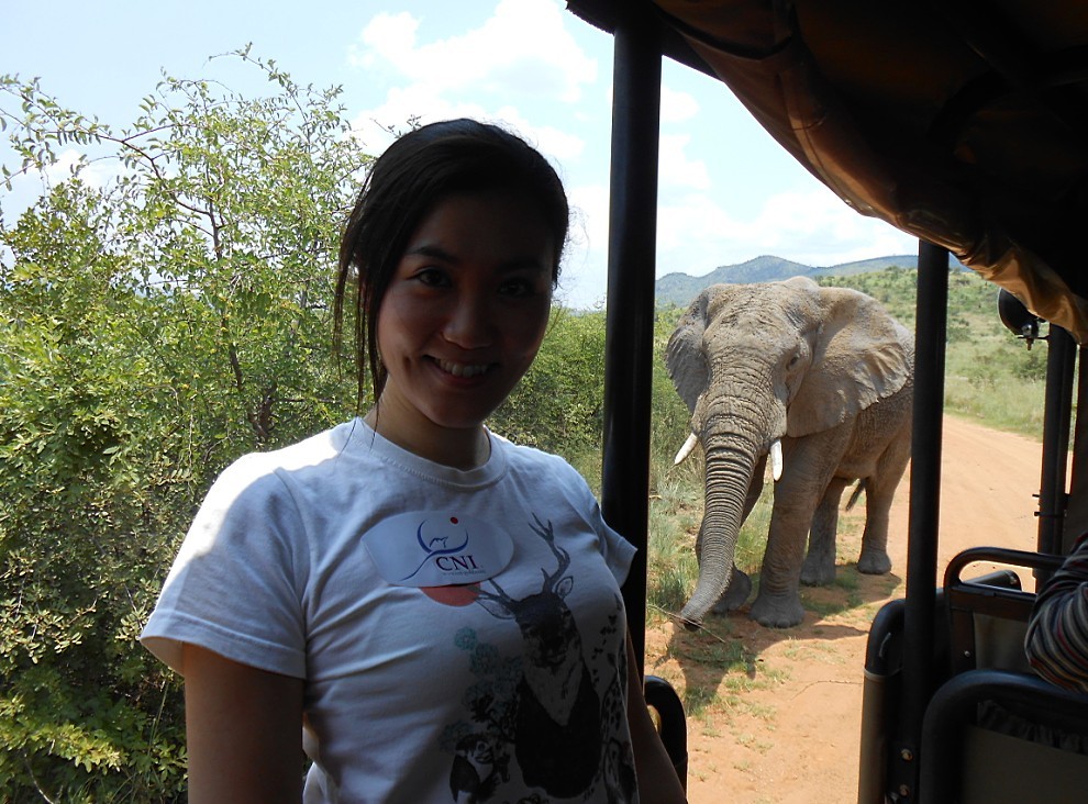 中国北方金银业南非之旅2：南非，野生动物的天堂