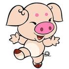 2013年十二生肖运程：属猪的人2013年事业、财运、感情、健康、吉祥物
