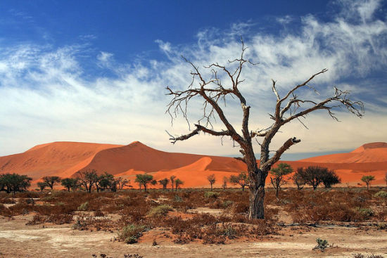 纳米比亚共和国 The Republic of Namibia 位于非洲西南部