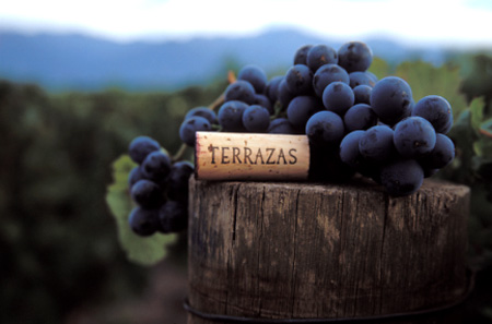  台阶典藏马尔白克红葡萄酒2010最新获奖评级